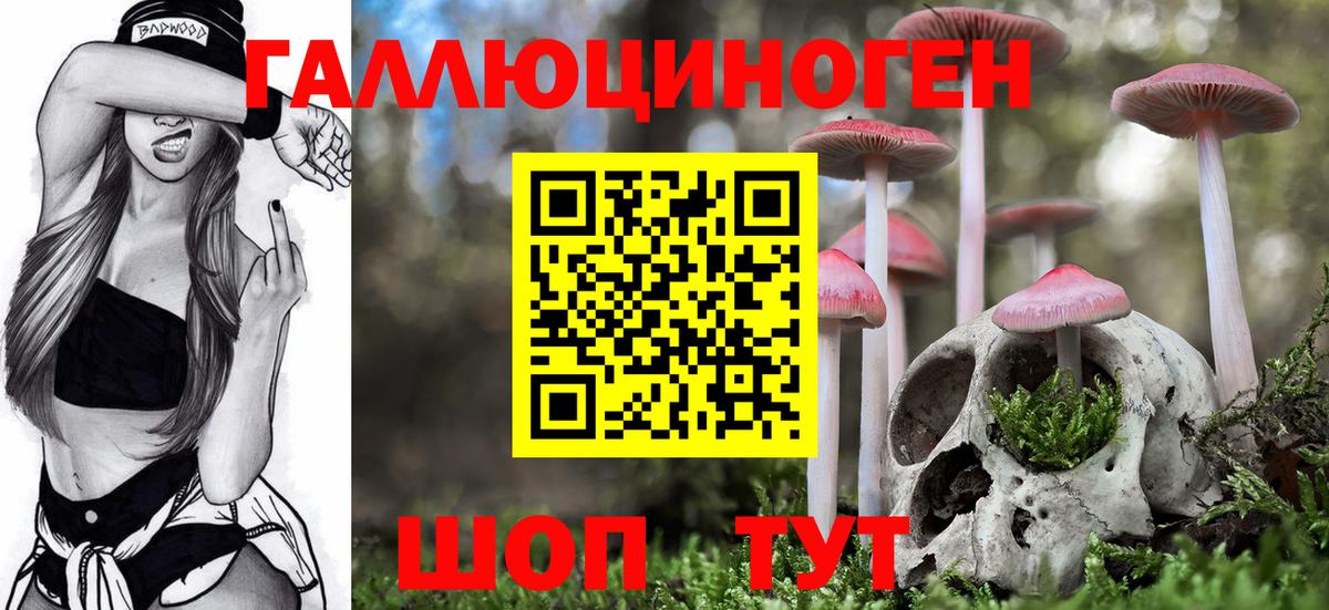 где купить наркоту  Тавда  Галлюциногенные грибы MAGIC MUSHROOMS 