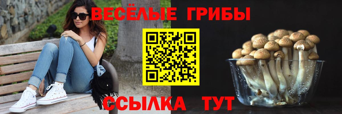 Галлюциногенные грибы прущие грибы Тавда