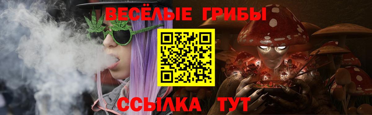 Тавда  Галлюциногенные грибы Magic Shrooms  Вход с VPN 